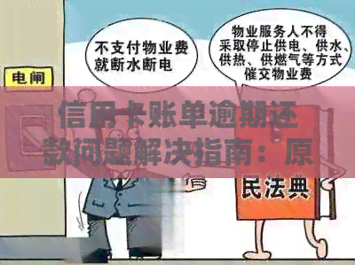 信用卡账单逾期还款问题解决指南：原因分析与处理方法