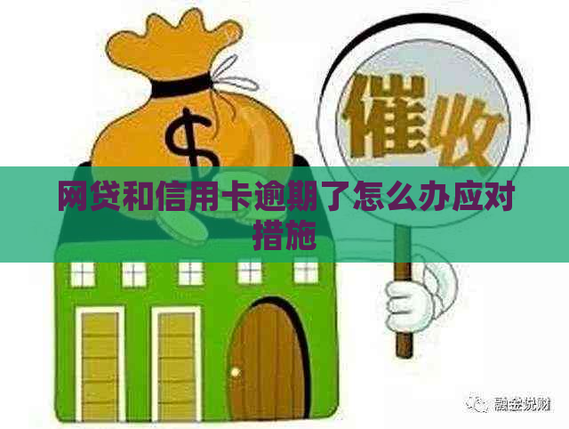 网贷和信用卡逾期了怎么办应对措施