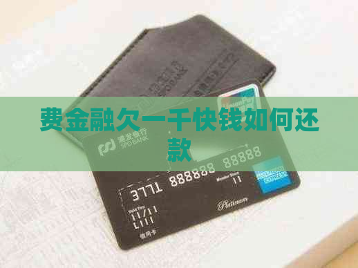 费金融欠一千快钱如何还款