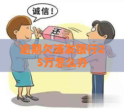 逾期欠浦发银行25万怎么办