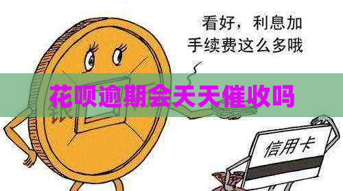 花呗逾期会天天吗