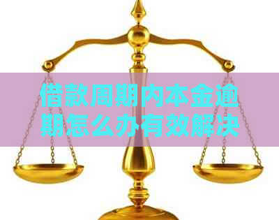 借款周期内本金逾期怎么办有效解决方法