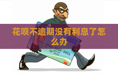 白条不逾期没有利息了怎么办