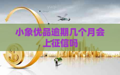 小象优品逾期几个月会上吗