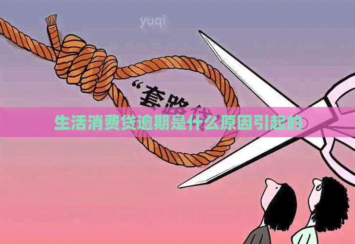 生活消费贷逾期是什么原因引起的