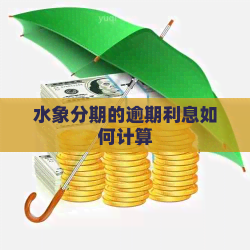 水象分期的逾期利息如何计算
