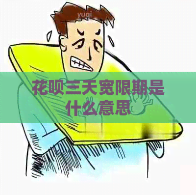 白条三天宽限期是什么意思