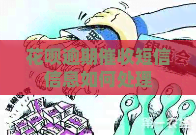 白条逾期短信信息如何处理