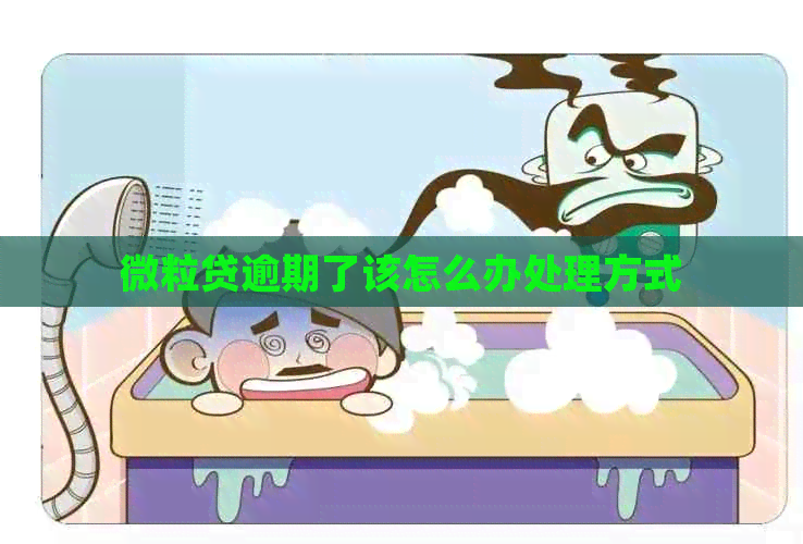 微粒贷逾期了该怎么办处理方式