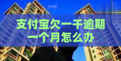 信用卡欠一千逾期一个月怎么办
