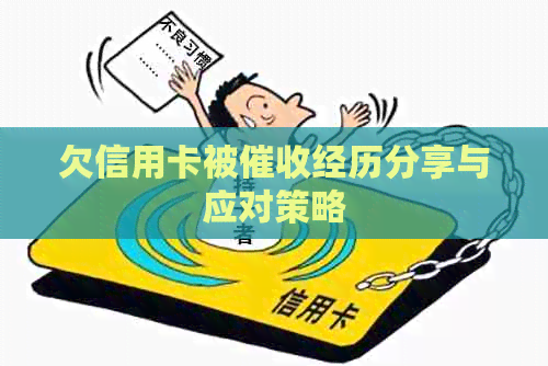 欠信用卡被经历分享与应对策略