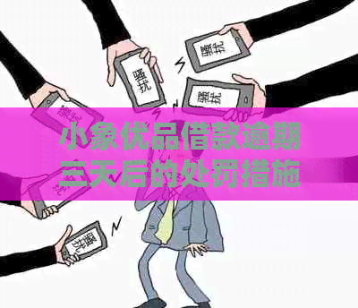 小象优品借款逾期三天后的处罚措施和解决方法