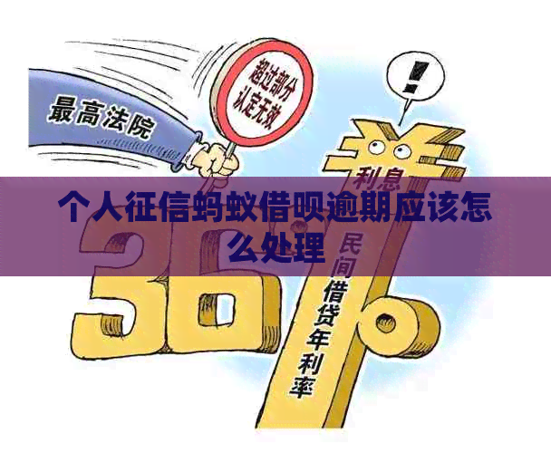 个人蚂蚁信用卡逾期应该怎么处理