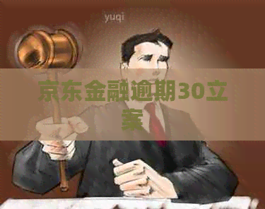 京东金融逾期30立案