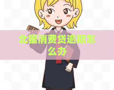 北银消费贷逾期怎么办