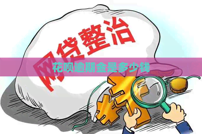 白条逾期金是多少钱