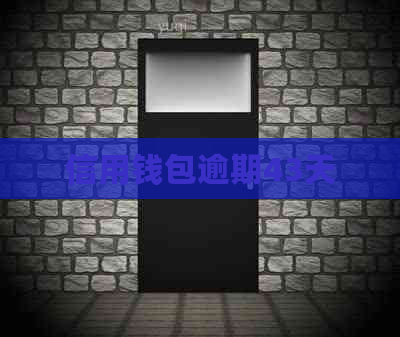 信用钱包逾期43天