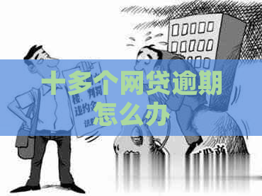 十多个网贷逾期怎么办