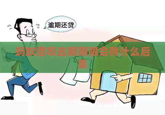 蚂蚁信用卡逾期期限会有什么后果