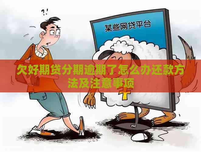 欠好期贷分期逾期了怎么办还款方法及注意事项