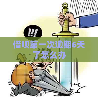 信用卡之一次逾期6天了怎么办