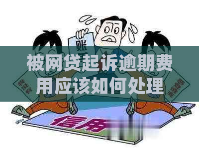 被网贷起诉逾期费用应该如何处理