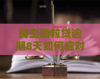 民生助粒贷逾期8天如何应对