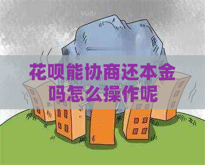 白条能协商还本金吗怎么操作呢