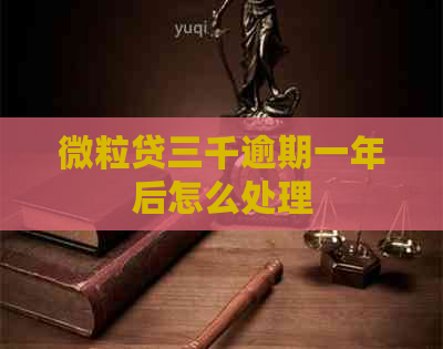 微粒贷三千逾期一年后怎么处理