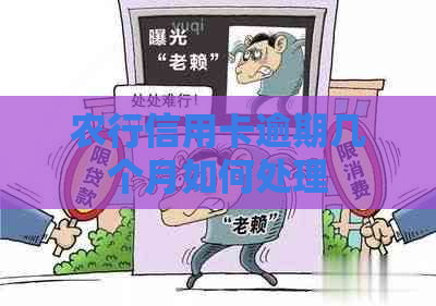 农行信用卡逾期几个月如何处理