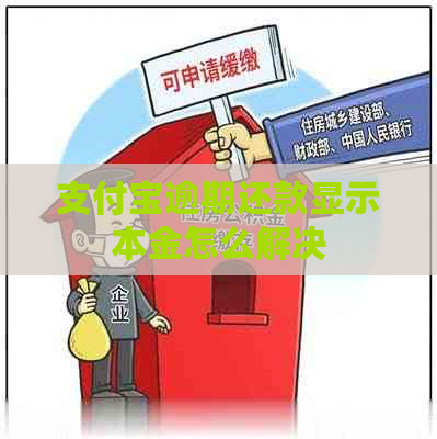 信用卡逾期还款显示本金怎么解决