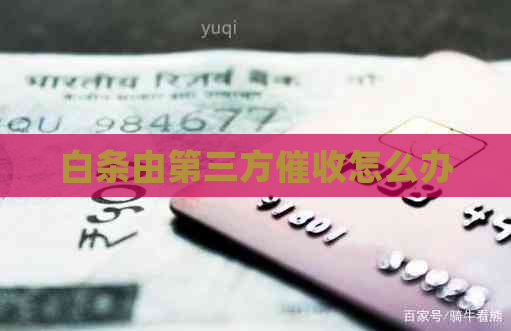 白条由第三方怎么办
