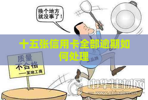 十五张信用卡全部逾期如何处理