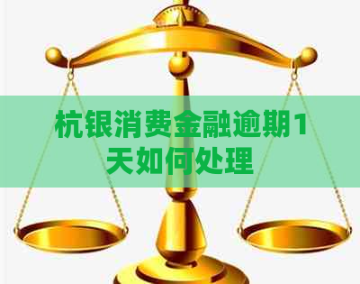 杭银消费金融逾期1天如何处理