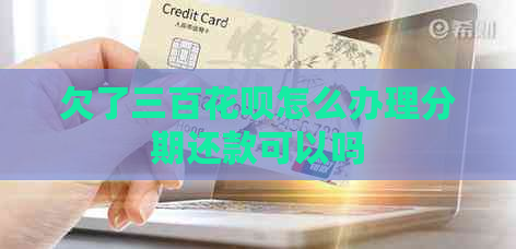 欠了三百花呗怎么办理分期还款可以吗