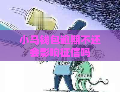 小马钱包逾期不还会影响吗
