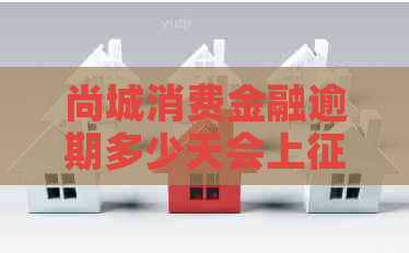 尚城消费金融逾期多少天会上