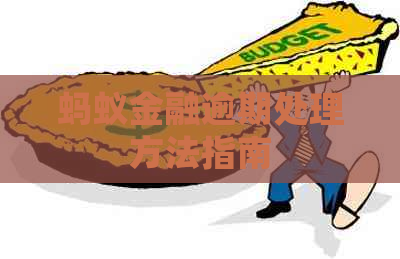蚂蚁金融逾期处理方法指南
