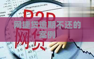 网捷贷逾期不还的案例