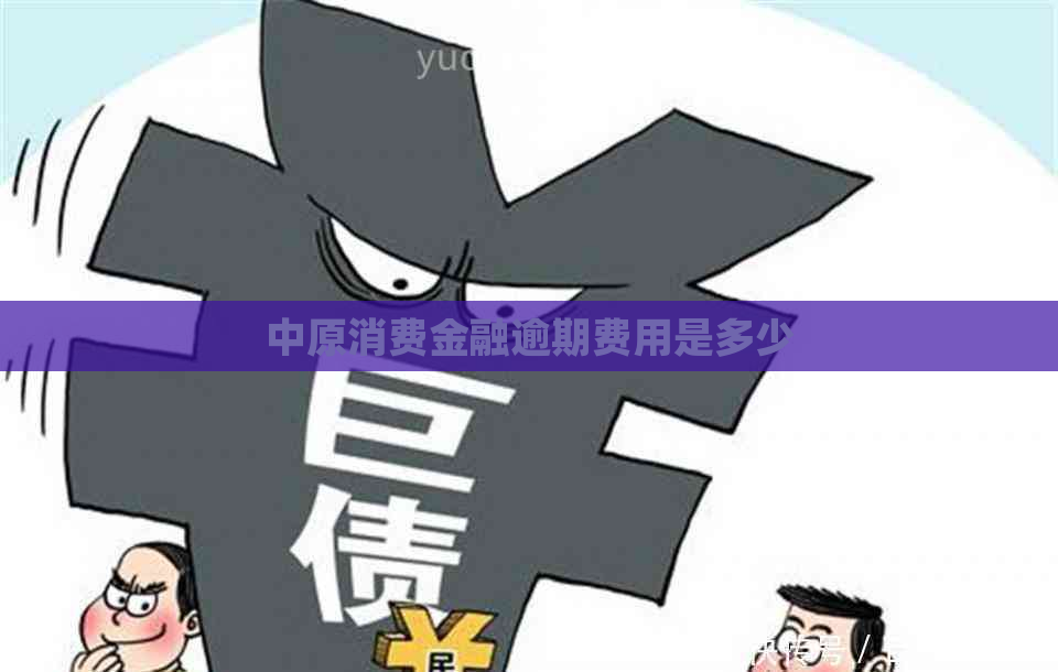 中原消费金融逾期费用是多少
