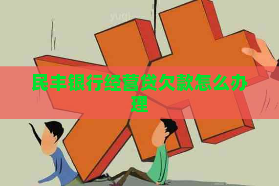 民丰银行经营贷欠款怎么办理