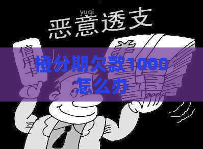 橙分期欠款1000怎么办