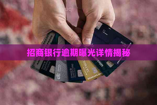 招商银行逾期曝光详情揭秘