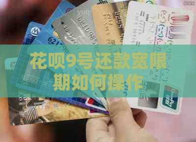 花呗9号还款宽限期如何操作