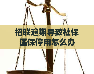 招联逾期导致社保医保停用怎么办