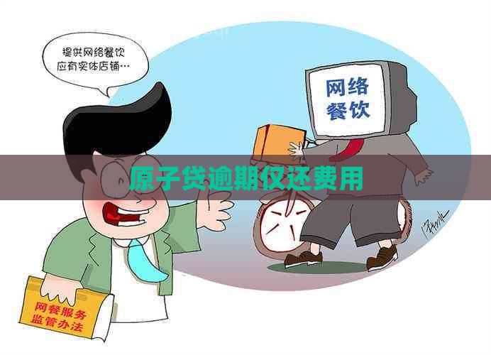 原子贷逾期仅还费用