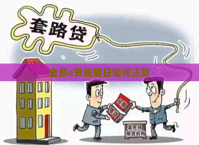 金燕e贷逾期日如何还款