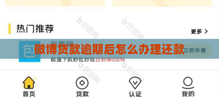 微博贷款逾期后怎么办理还款