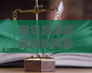 网贷起诉案例精析网贷合同纠纷案例解析