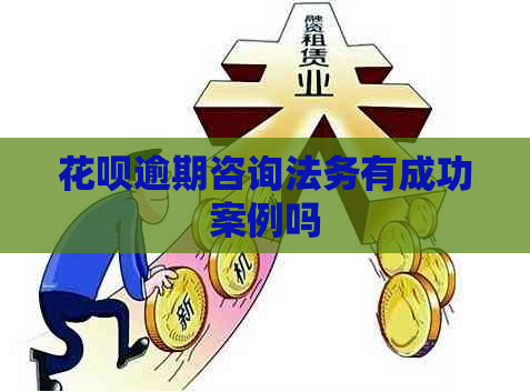 白条逾期咨询法务有成功案例吗